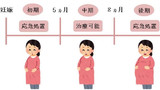 子供手当てをもらうピコリット