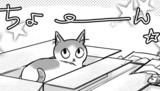 episode.09　ねこまねき!？ ②