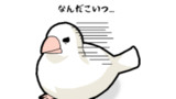おこめびより#30 「共鳴」