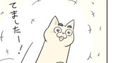 第22話 こえた猫