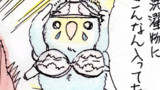 第3話 ブラとトリ　女性用下着は綺麗。
